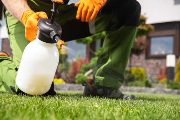 Best Insect Control  in Wainaku, HI