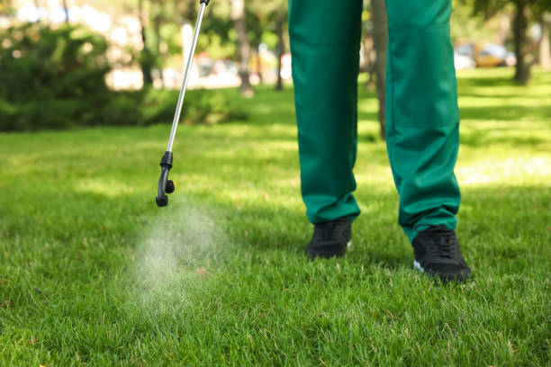Best Wasp Removal Services  in Wainaku, HI