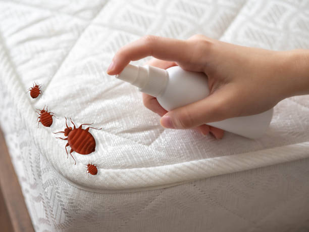 Wainaku, HI Pest Control Company
